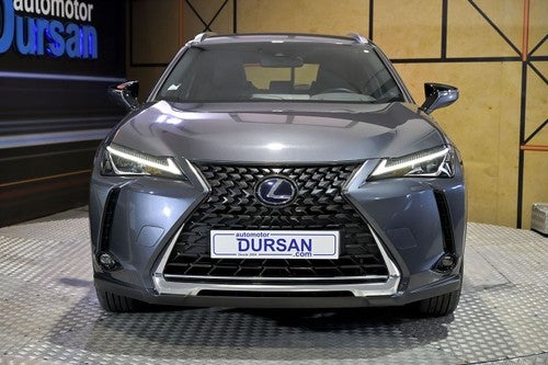 Lexus UX 300e Business