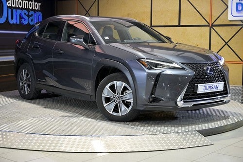 Lexus UX 300e Business