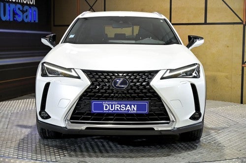 Lexus UX 300e Business