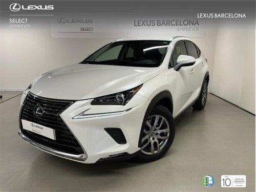 LEXUS NX 300h Executive Navigation 4WD