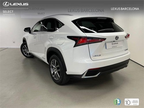 LEXUS NX 300h Executive Navigation 4WD