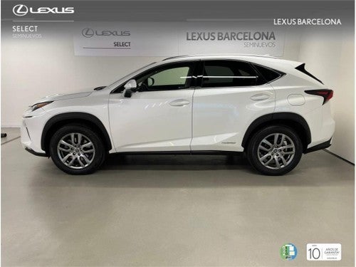 LEXUS NX 300h Executive Navigation 4WD