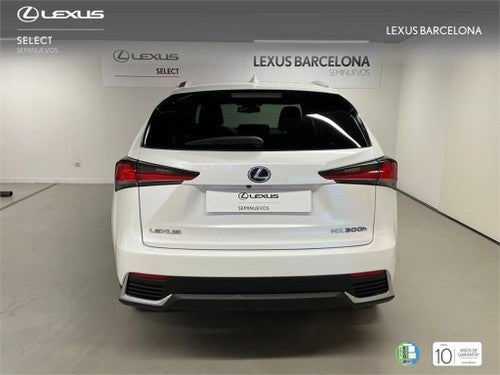 LEXUS NX 300h Executive Navigation 4WD