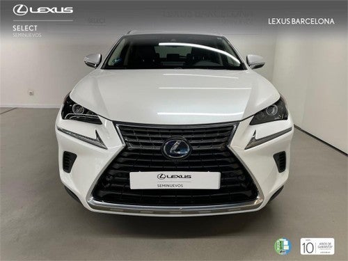 LEXUS NX 300h Executive Navigation 4WD