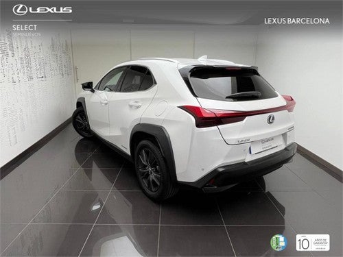 LEXUS UX 250h Business 2WD