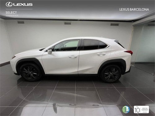 LEXUS UX 250h Business 2WD