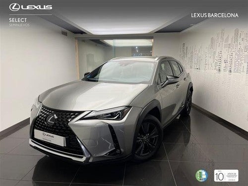 LEXUS UX 250h Business City 2WD