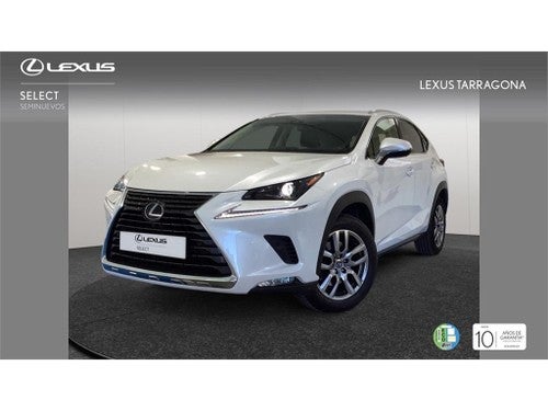 LEXUS NX 300h Executive Navigation 4WD