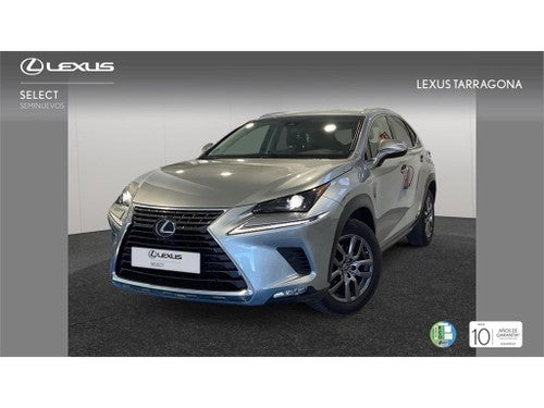 LEXUS NX 300h Executive Navigation 4WD