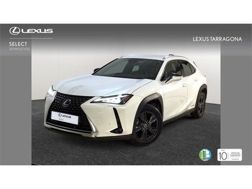 LEXUS UX 250h Business Navigation 4WD