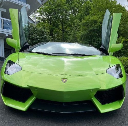 LAMBORGHINI Aventador LP700-4 Roadster