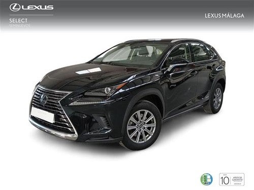 LEXUS NX 300h Business 2WD