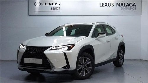 LEXUS UX 300e Executive