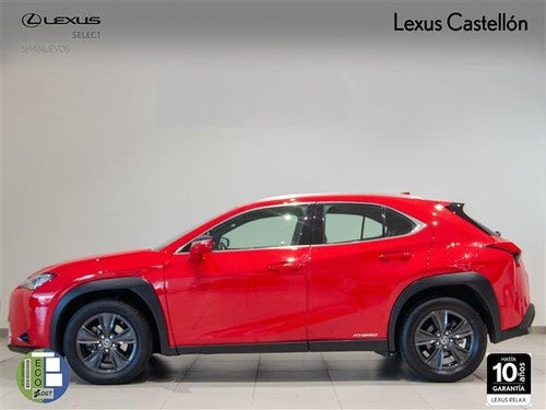 LEXUS UX 250h Business 2WD