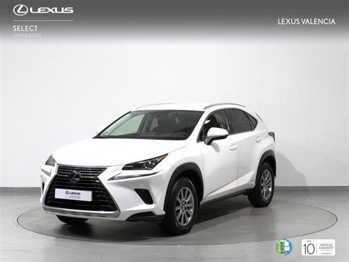 LEXUS NX 300h Business 2WD