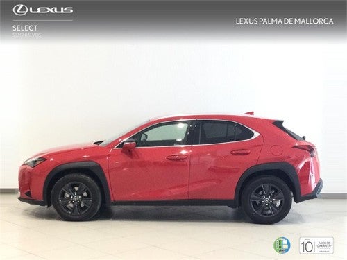 LEXUS UX SUV BUSINESS NAVIGATION (2WD) 2.0 Híbrido Gasolina