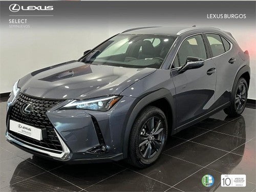 LEXUS UX SUV PREMIUM 2.0 L Híbrido (2WD)