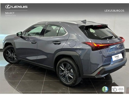 LEXUS UX SUV PREMIUM 2.0 L Híbrido (2WD)