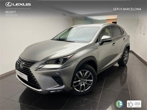 LEXUS NX SUV EXECUTIVE 4WD 2.5 Híbrido Gasolina (197CV) Tra