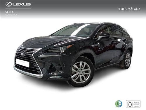 LEXUS NX 300h Executive 4WD