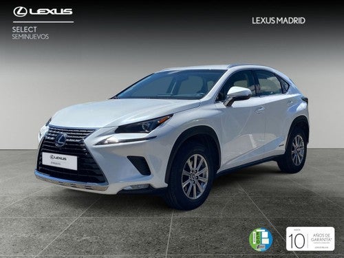 LEXUS NX 300h Business Navigation 2WD