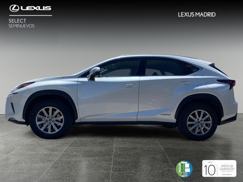 Lexus NX 2.5 300h Business Navigation 2WD