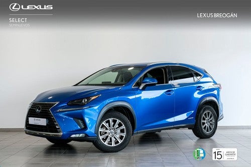 LEXUS NX 300h Business Navigation 2WD