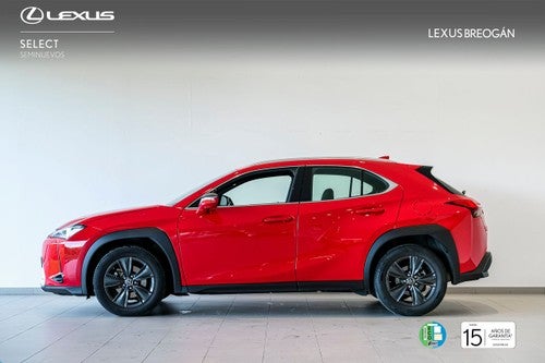 Lexus UX 250H 2WD BUSINESS