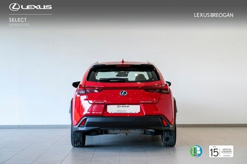 Lexus UX 250H 2WD BUSINESS