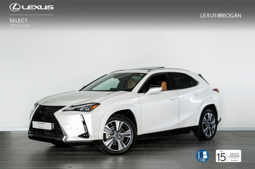 LEXUS UX 300E LURY