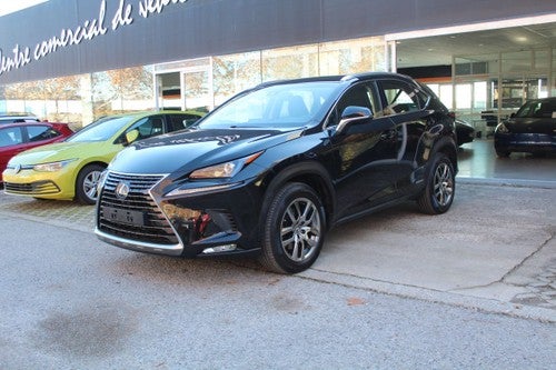 LEXUS NX 2.5 300h Executive 4WD