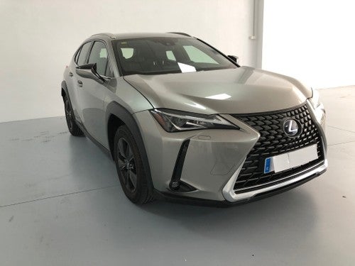 LEXUS UX 250h Business 2WD