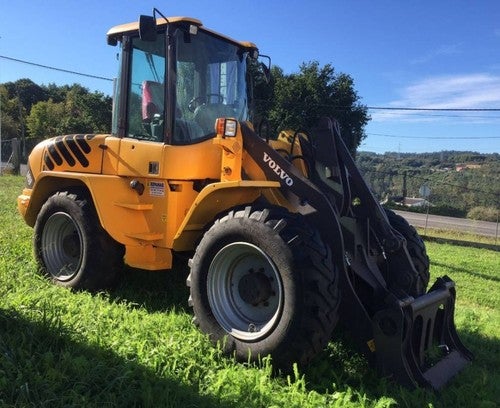 Volvo L 45 B