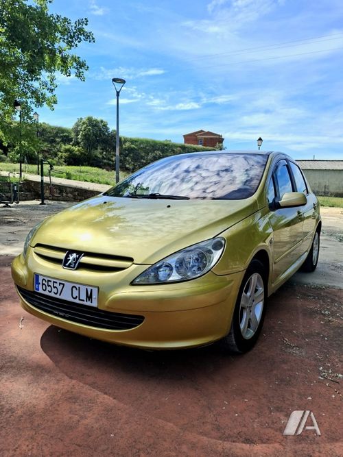 Peugeot 307 2.0 HDI XSI 2005, foto 1