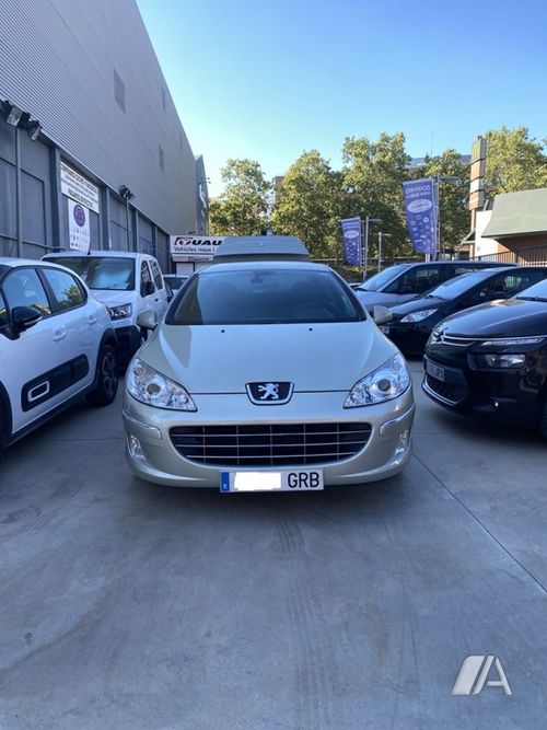 Peugeot 407 2.0 HDI Sport 2009, foto 1