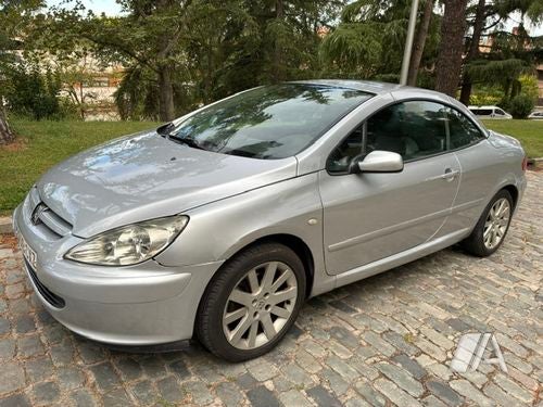 Peugeot 307 2.0i XSi 2004, foto 1