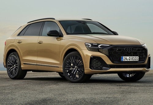 AUDI Q8 RSQ8 quattro tiptronic