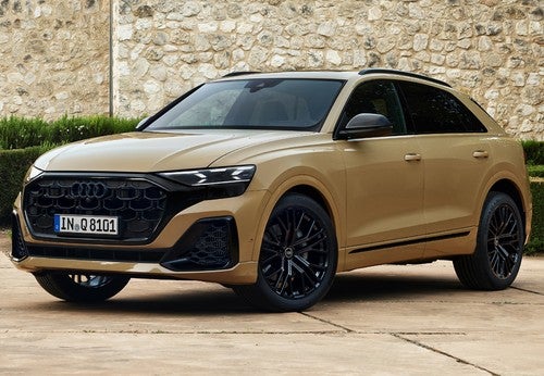 AUDI Q8 RSQ8 quattro tiptronic