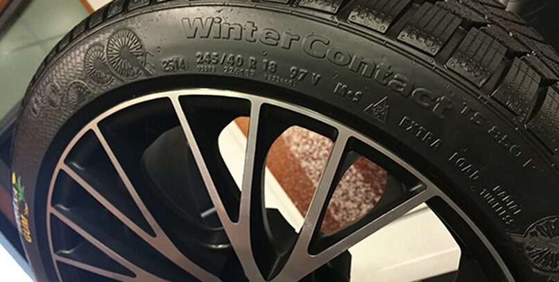 Continental fabricará en serie su neumático con diente de león en cinco años