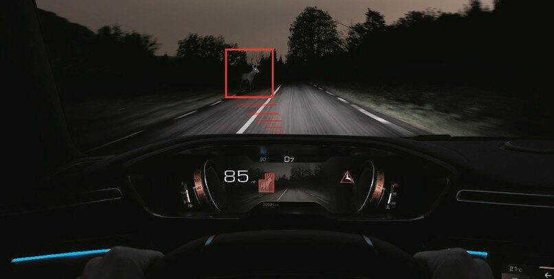 Cómo funciona la visión nocturna: evita que un jabalí destroce tu coche