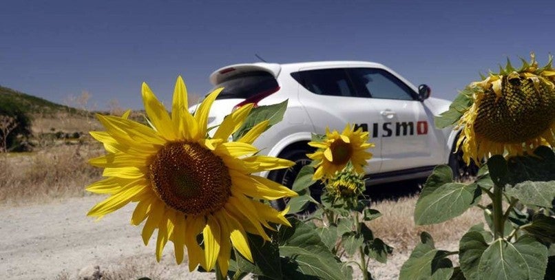 Alergias y filtros, las precauciones para esta primavera