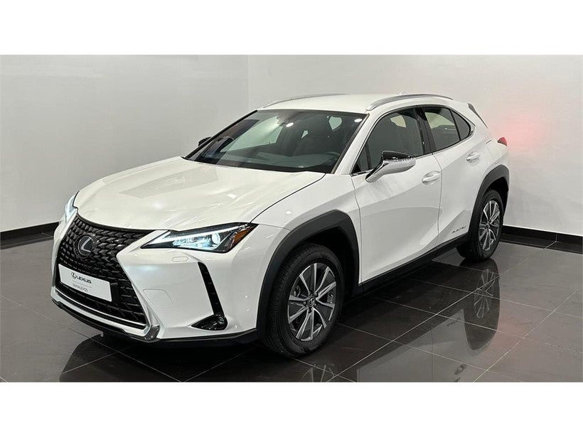 LEXUS UX SERIES UX 300e Business