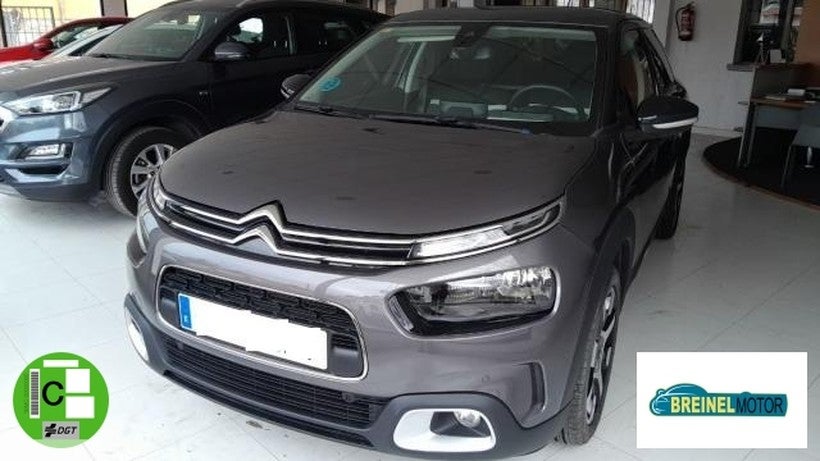 CITROEN C4 Cactus PureTech 110 S&S EAT6 Shine