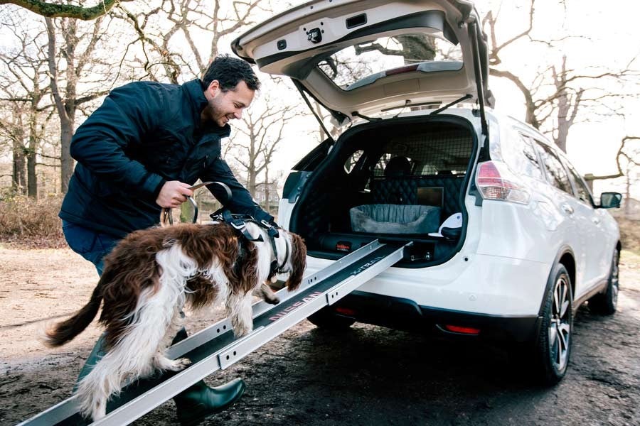 El Nissan X-Trail 4Dogs es el coche perfecto para transportar mascotas.