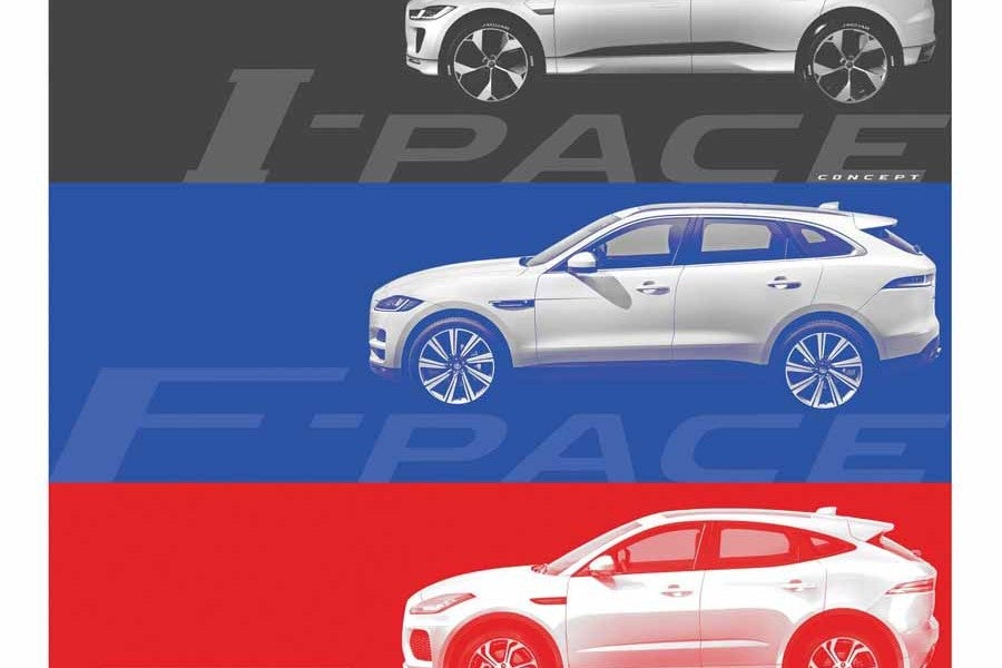 Familia Jaguar PACE