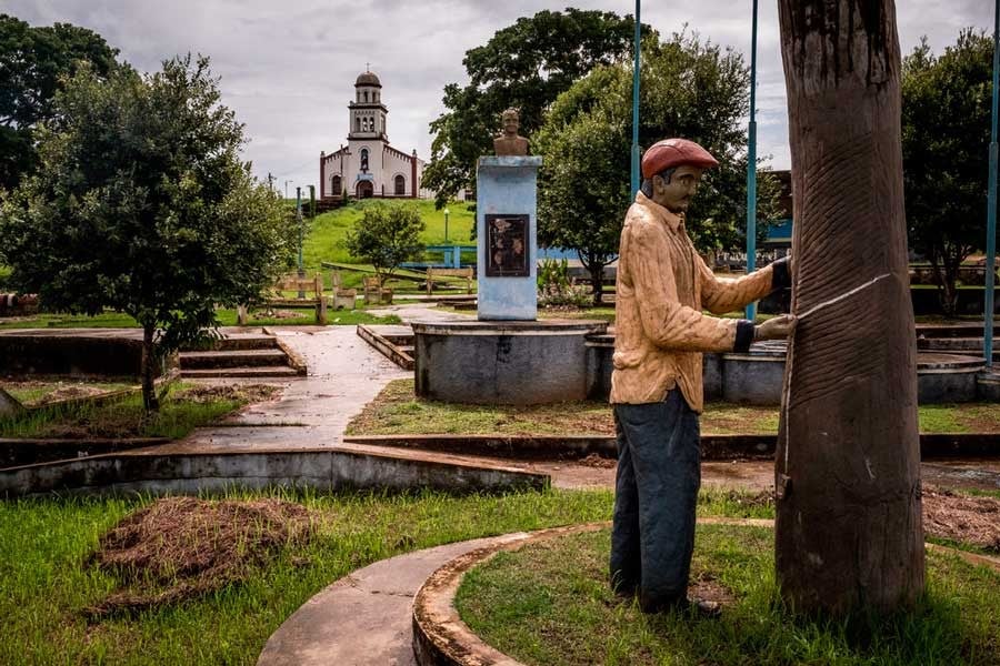 Una estatua de un hombre obteniendo caucho decora Fordlandia. (NY TIMES)
