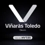 GRUPO VIÑARÁS TOLEDO