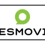 GESMOVIL GESTION DEL AUTOMOVIL