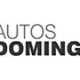 AUTOS DOMINGUEZ