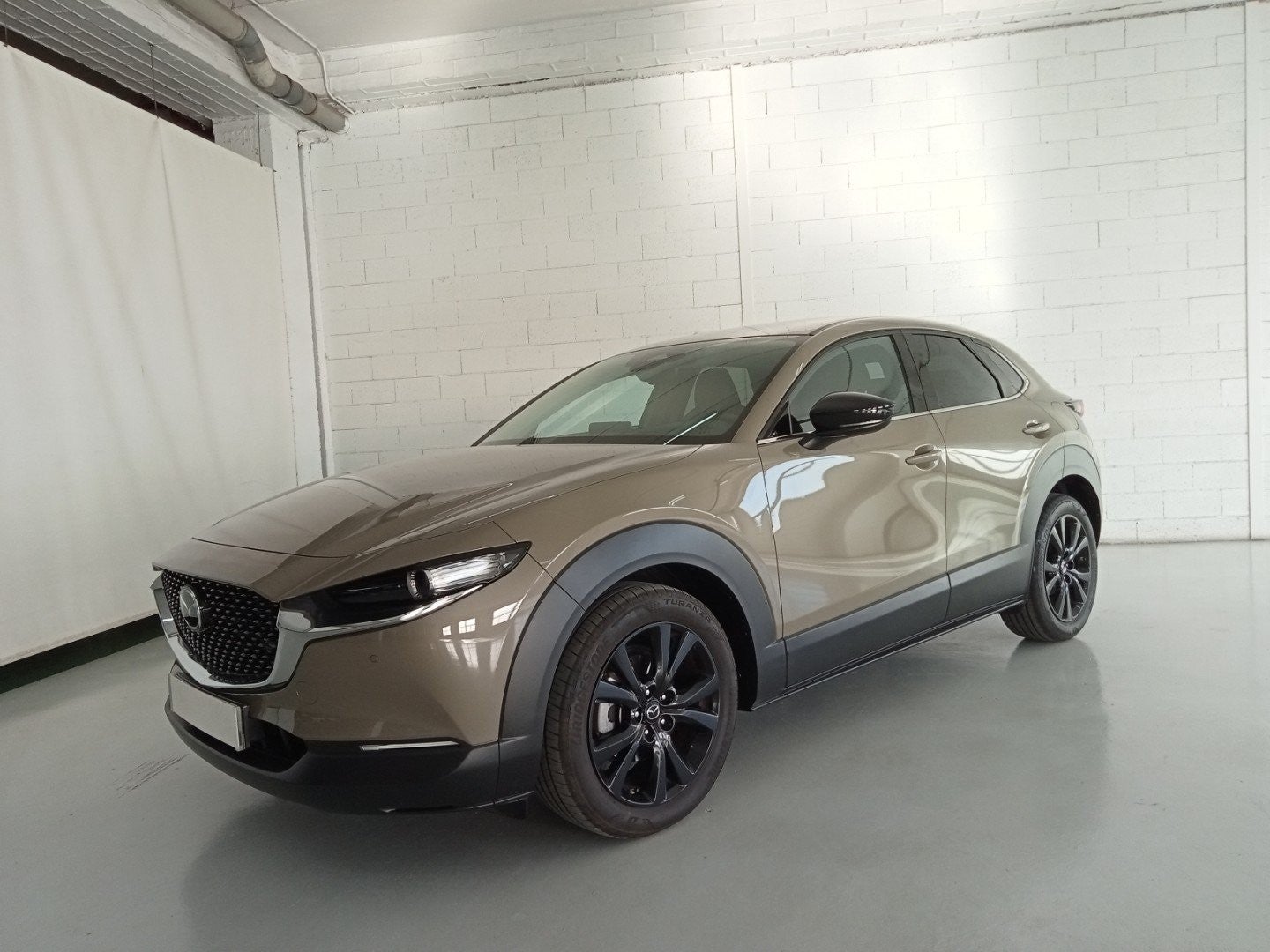 MAZDA CX-30 CX30 2.0L e-SKYACTIV G MHEV 110KW 150CV 6MT FWD HOMURA